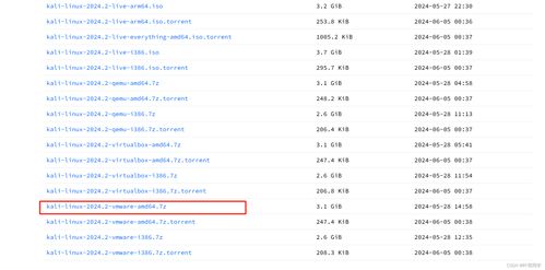 Kali Linux虛擬機配置流程及其在網(wǎng)絡與信息安全軟件開發(fā)中的應用